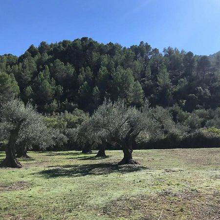 Paraiso Cuantico Eslida Dış mekan fotoğraf