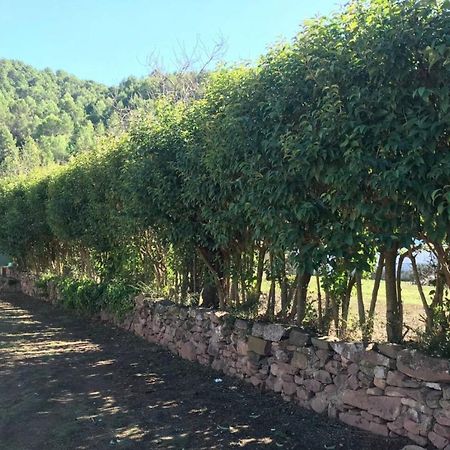 Paraiso Cuantico Eslida Dış mekan fotoğraf