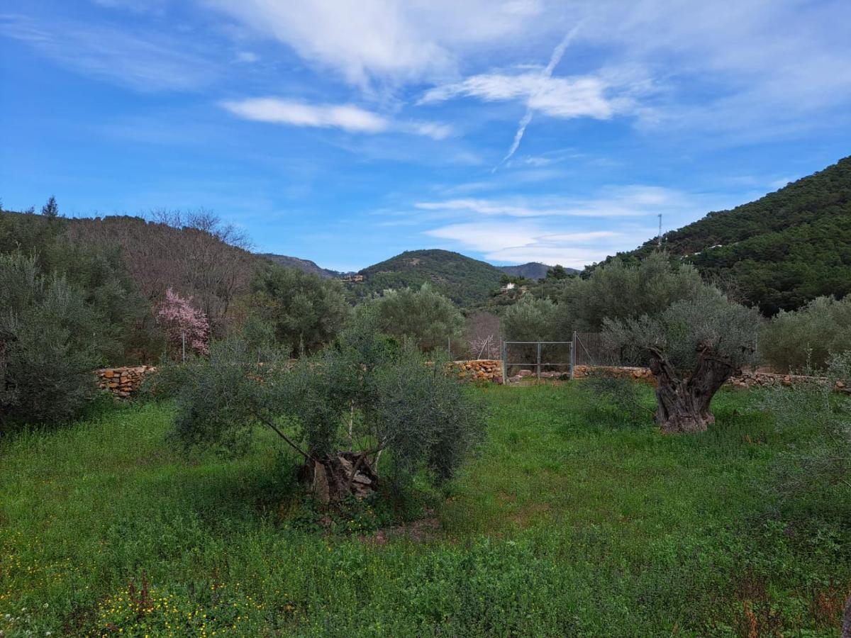 Paraiso Cuantico Eslida Dış mekan fotoğraf