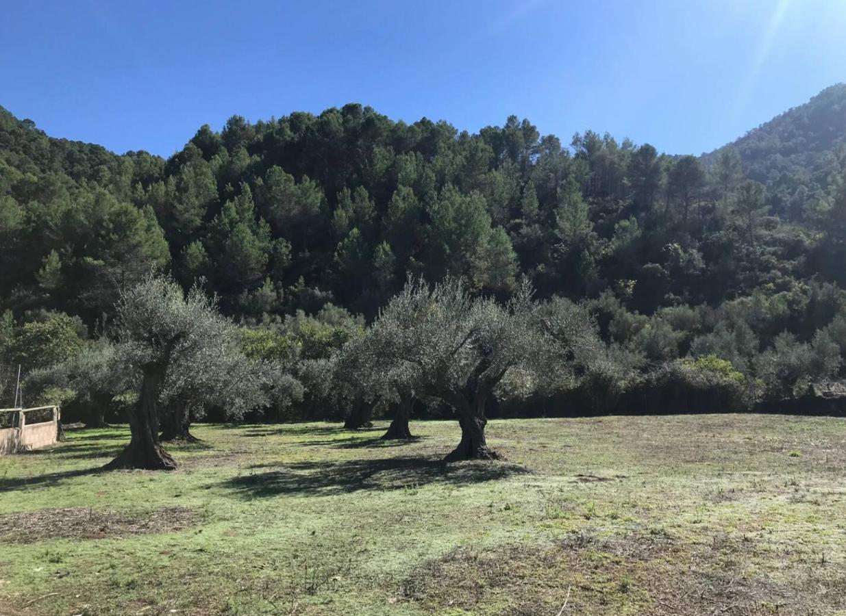 Paraiso Cuantico Eslida Dış mekan fotoğraf