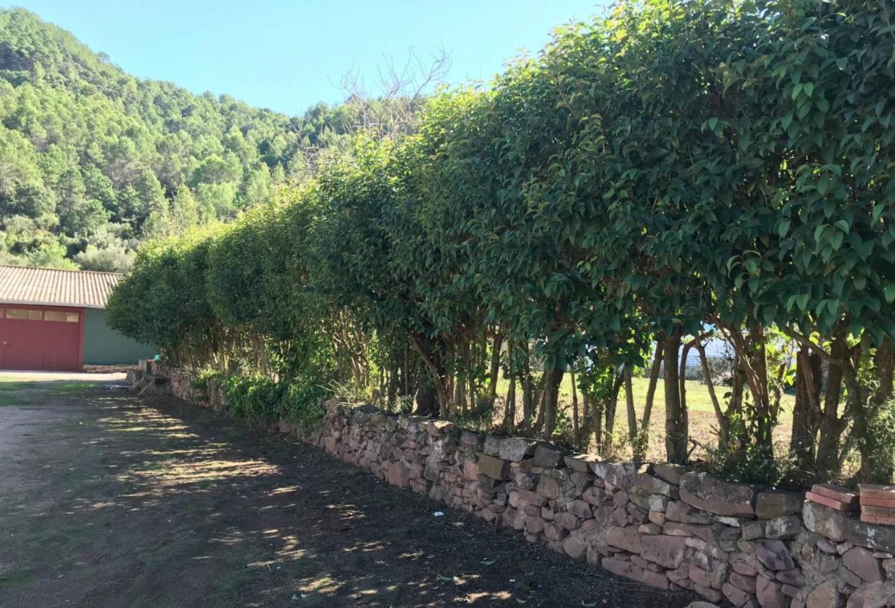 Paraiso Cuantico Eslida Dış mekan fotoğraf