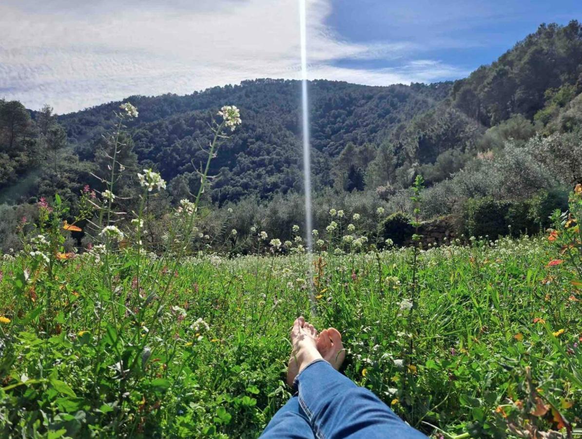 Paraiso Cuantico Eslida Dış mekan fotoğraf