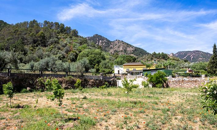 Paraiso Cuantico Eslida Dış mekan fotoğraf